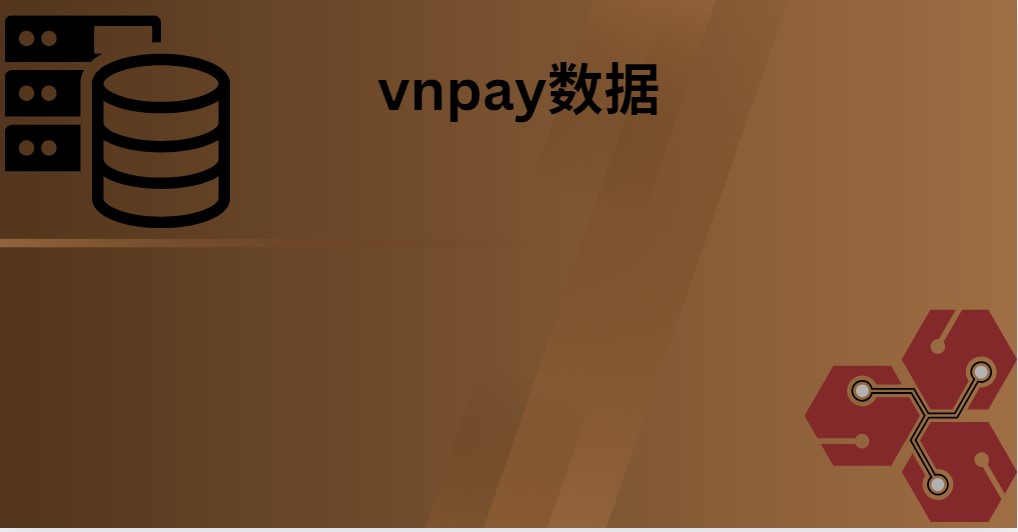 vnpay数据